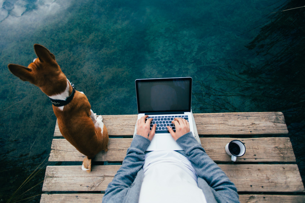 Guide to Remote Work-Friendly Rentals